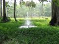 Garden fountain - Silver Springs Park