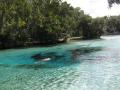 Les meilleur paysages de la Floride