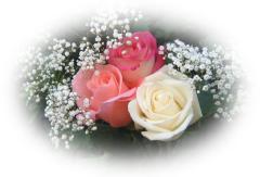 Красивы Розы - Романтические Открытки