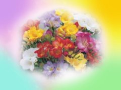 Easter greeting cards
