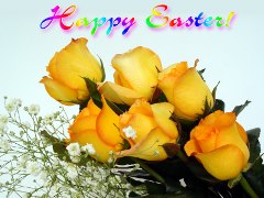 Easter yellow roses