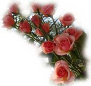 Easter greeting cards