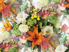 Easter greeting cards
