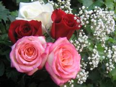 Букет многоцветных роз