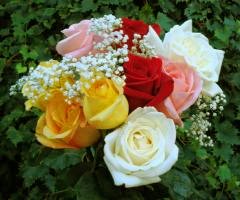 Bouquet de rosas coloridas