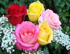 Bouquet de roses - cartes  virtuelles