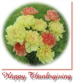 Thanksgiving Greeting Cards