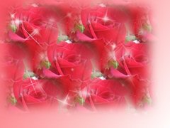 Червени рози - символ на гореща любов
