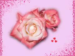 Valentines card
