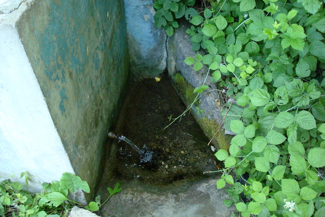 Mountain spring water