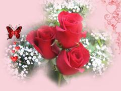 Три червени рози