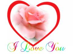 romantic pink rose i love you card