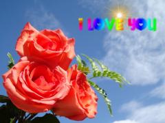i love you card orange roses