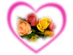 beautiful roses romantic card