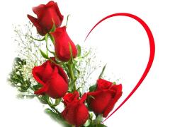 Love Card Red Roses