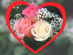 rose of love free ecard