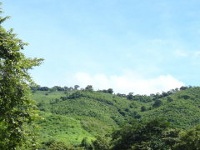 Естели, Никарагуа