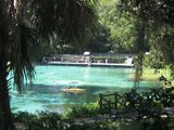 Florida springs