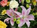 Stargazer lily flower