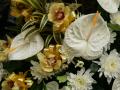 White Anturium flower