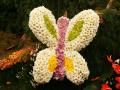 Beautiful large butterfly made of white, pink, yellow and green blossoms