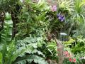 Orchids and tropical ornamental plants