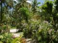 Tropical orchid garden