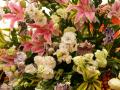 Large exotic flower arrangement with pink Stargazer and tropical beautiful flowers
