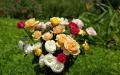 Bouquet de roses