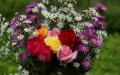 Bouquet des plus belles roses