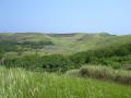 Océan Pacifique - Fonds d'écran nature - végétation tropicale d'île
