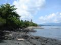 Océan Pacifique - Fonds d'écran nature - végétation tropicale d'île