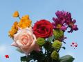 Beautiful roses and flowers