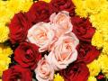 Pink and red roses with yellow Chrysanthemums