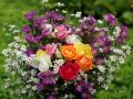 Most beautiful sweet roses of love