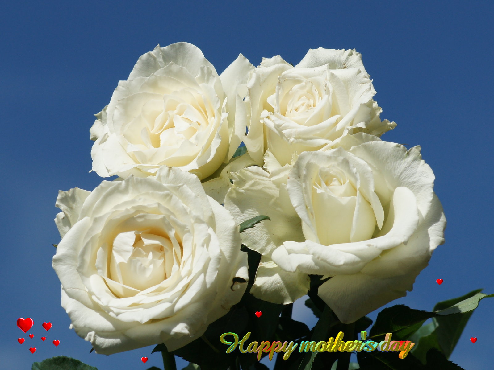 Mothers Day wallpaper beautiful flowers
