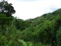 Fondos paisajes montañas