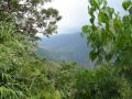 Fonds d'écran montagne - paysage tropical montagne en dehors de la ville de Baguio City