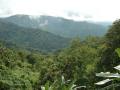 Fonds d'écran montagne - paysage tropical montagne en dehors de la ville de Baguio City
