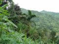Fotos paisajes