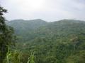 Foto paisaje