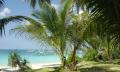 Beach wallpaper