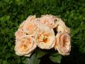 pink roses - rose bouquets wallpaper