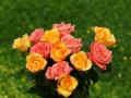 beautiful yellow and pink roses bouquets