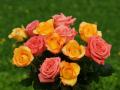 beautiful yellow and pink roses bouquets