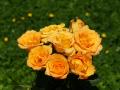 yellow rose bouquets wallpaper