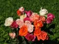 white roses, red roses, apricot roses, pink roses - rose bouquets wallpaper