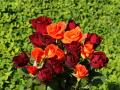 white roses, red roses, apricot roses, pink roses - rose bouquets wallpaper