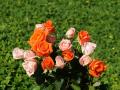 white roses, red roses, apricot roses, pink roses - rose bouquets wallpaper