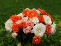 white roses, red roses, apricot roses, pink roses - rose bouquets wallpaper